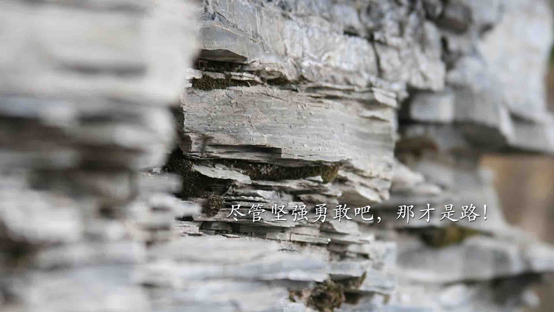 国足短传配合成功率与比分关联性分析，国足短袖