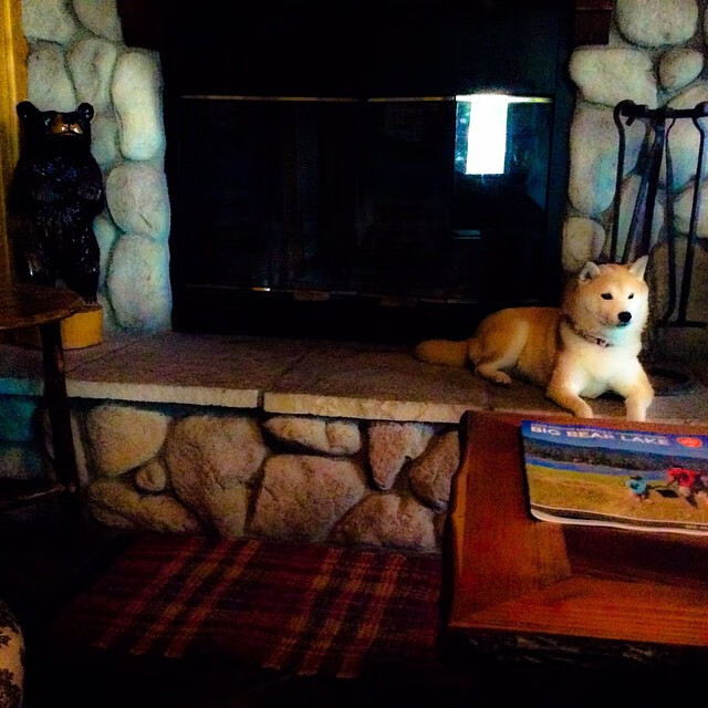 爱游戏-西甲裁判语义分析系统提升判罚一致性的案例研究，意甲裁判服