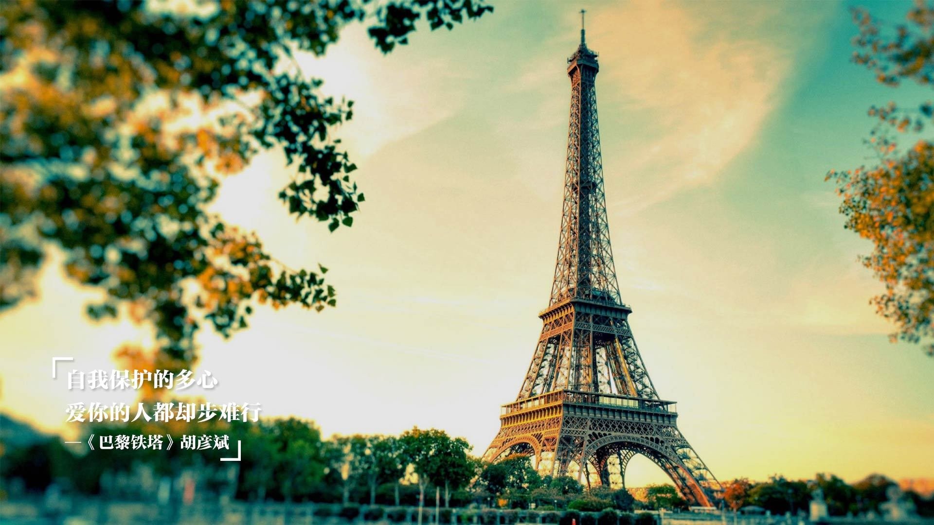 Chakib Sedoud 得分 15，助力阿尔及利亚 21–12 战胜埃及，阿尔及利亚lc