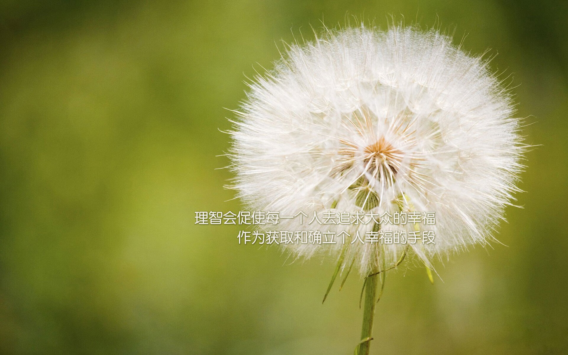 “2025世界运动会:六人制袋棍球展现极速与战术”