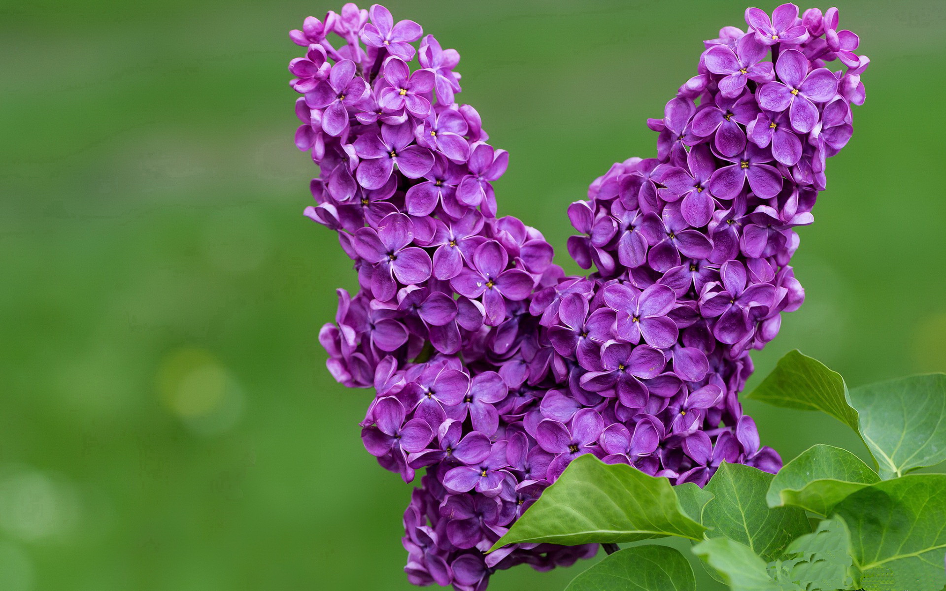 新赛季球衣风格引入传统图腾元素，22-23赛季球衣