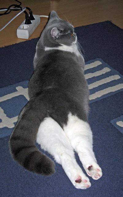 爱游戏体育-电竞主题馆在多地开放吸引年轻人打卡体验，电竞主题展馆