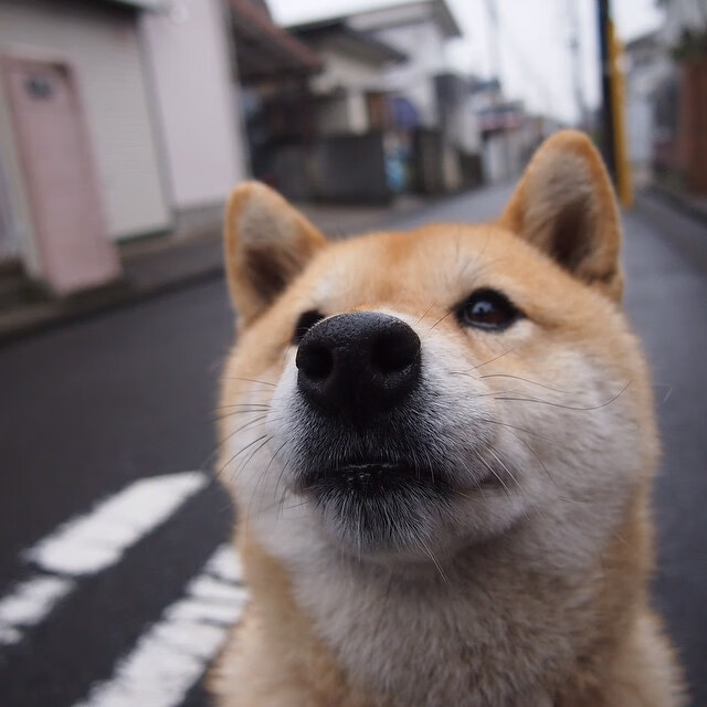 中国足球国家队新教练团队组建完成，中国足球国家队新教练团队组建完成时间