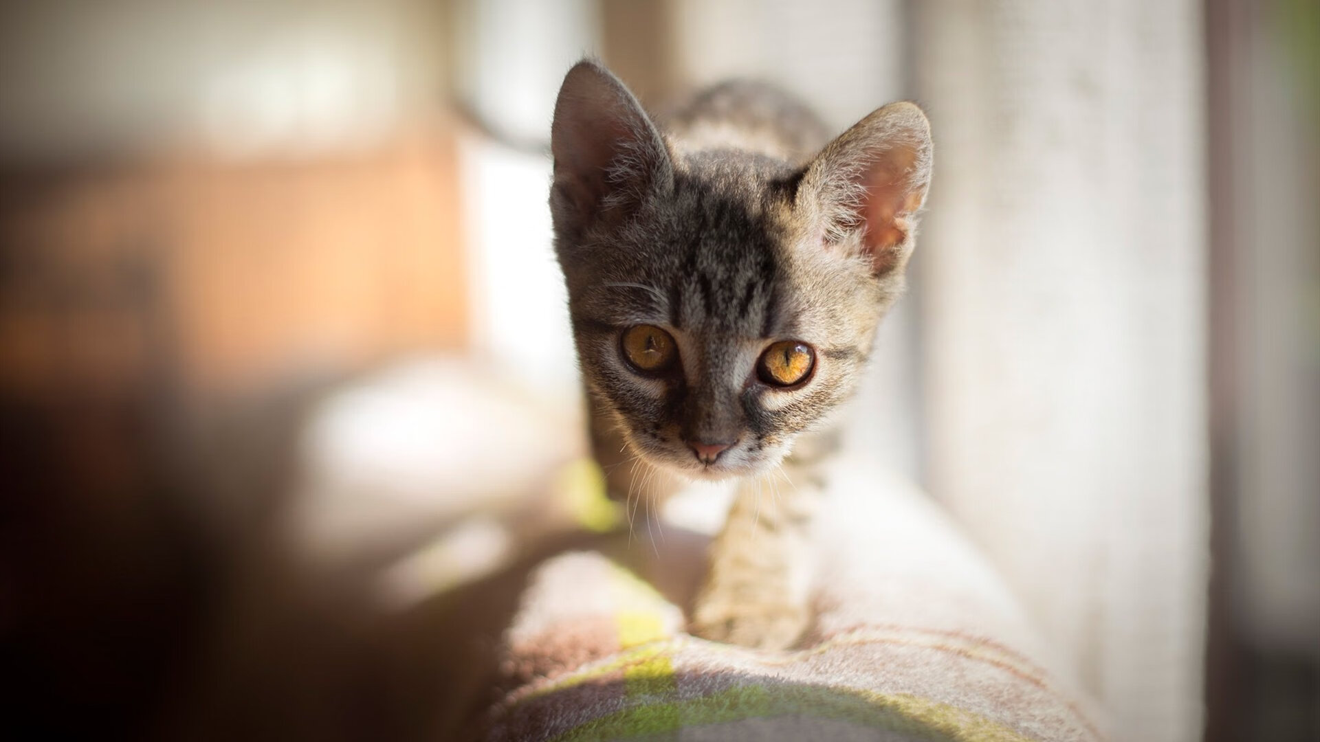 中超俱乐部纷纷打造青训学院探索长期发展路径，中超球队训练基地