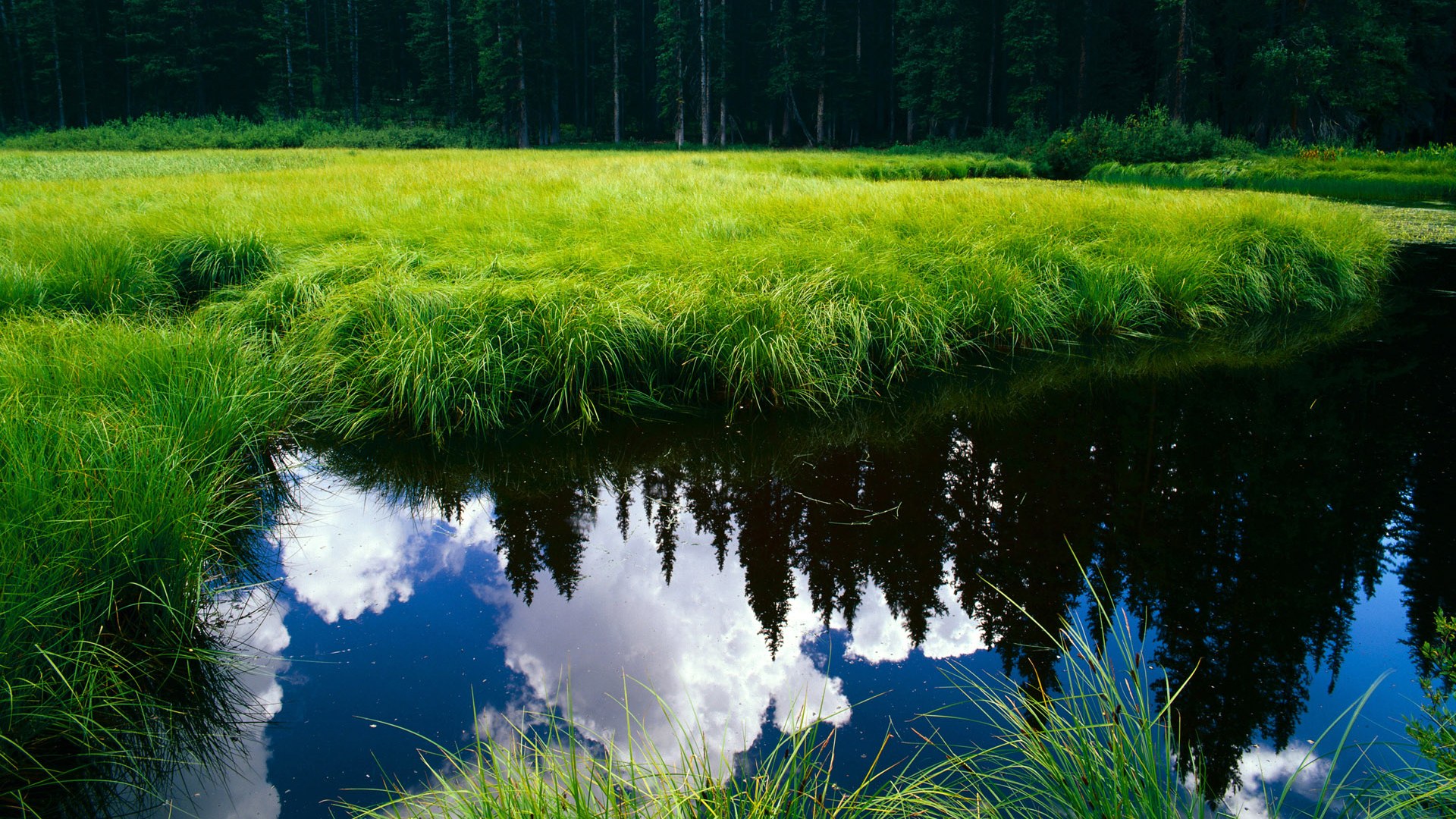 爱游戏官网-佩拉卡尼尝试新项：蝶泳首秀，卡拉佩蒂安游泳