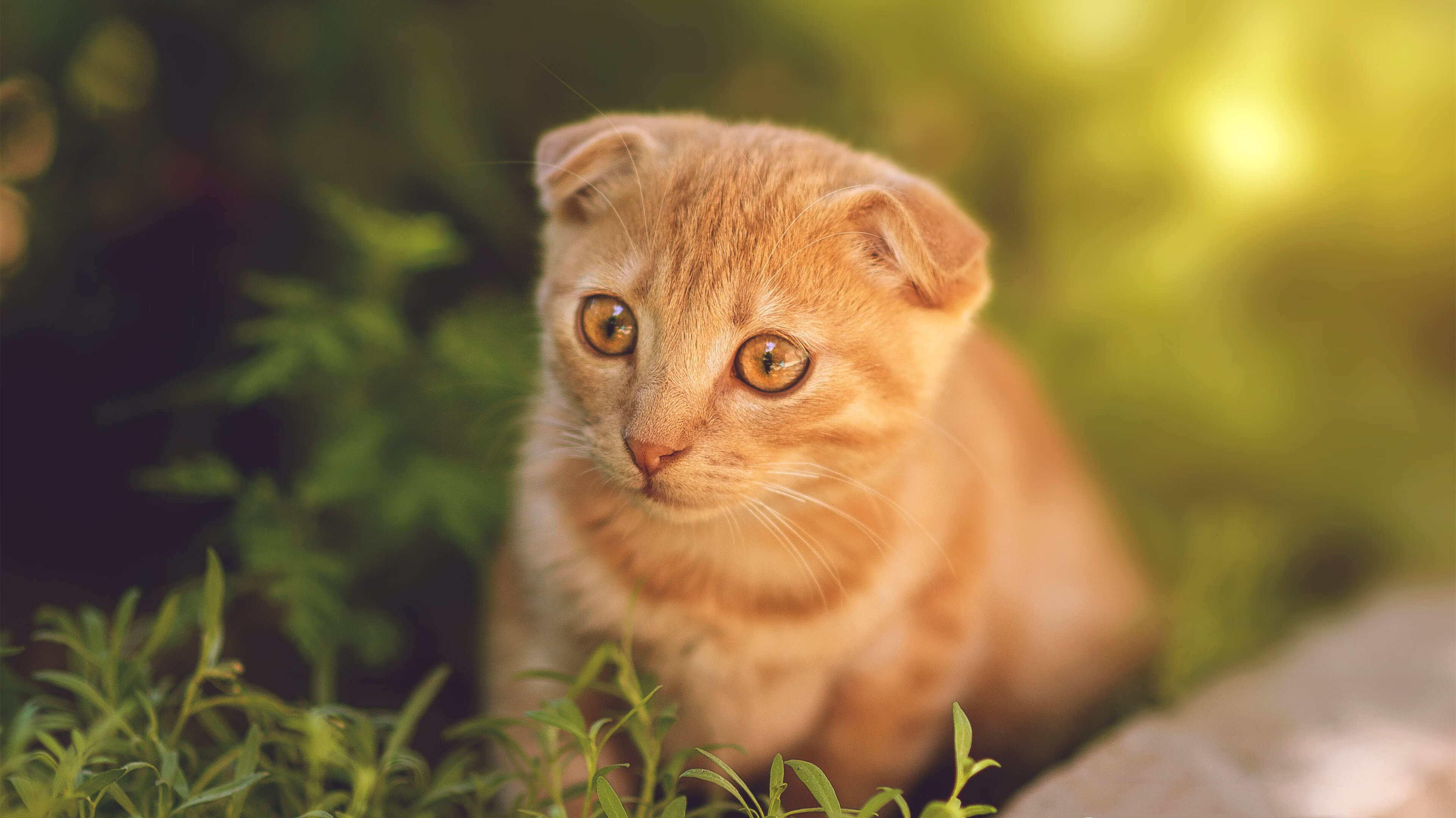 吉尔吉斯斯坦男篮在国际赛事中崭露头角,展现成长