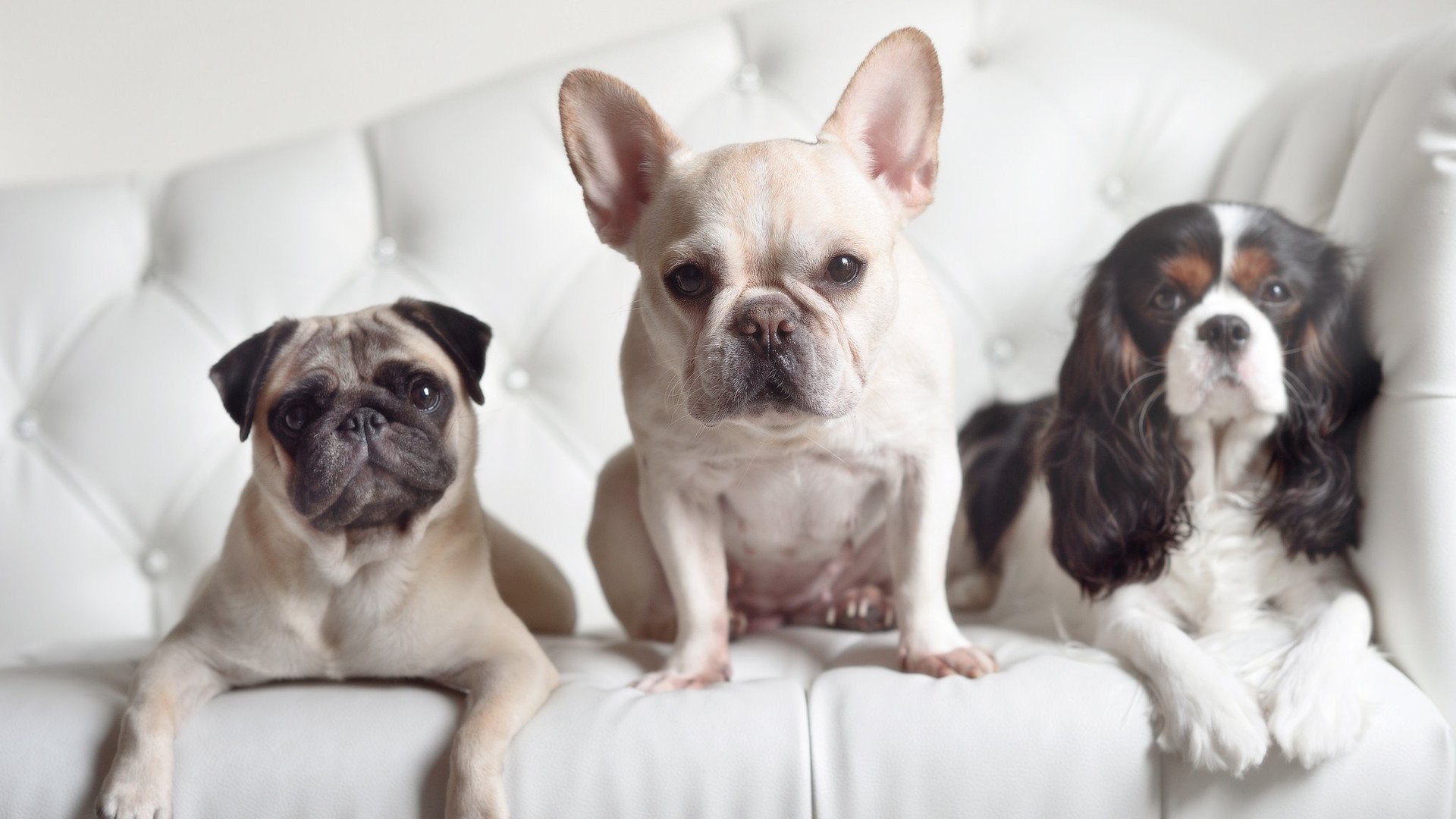 大数据与智能分析助力青少年的个人潜能挖掘与培养，大数据 能力