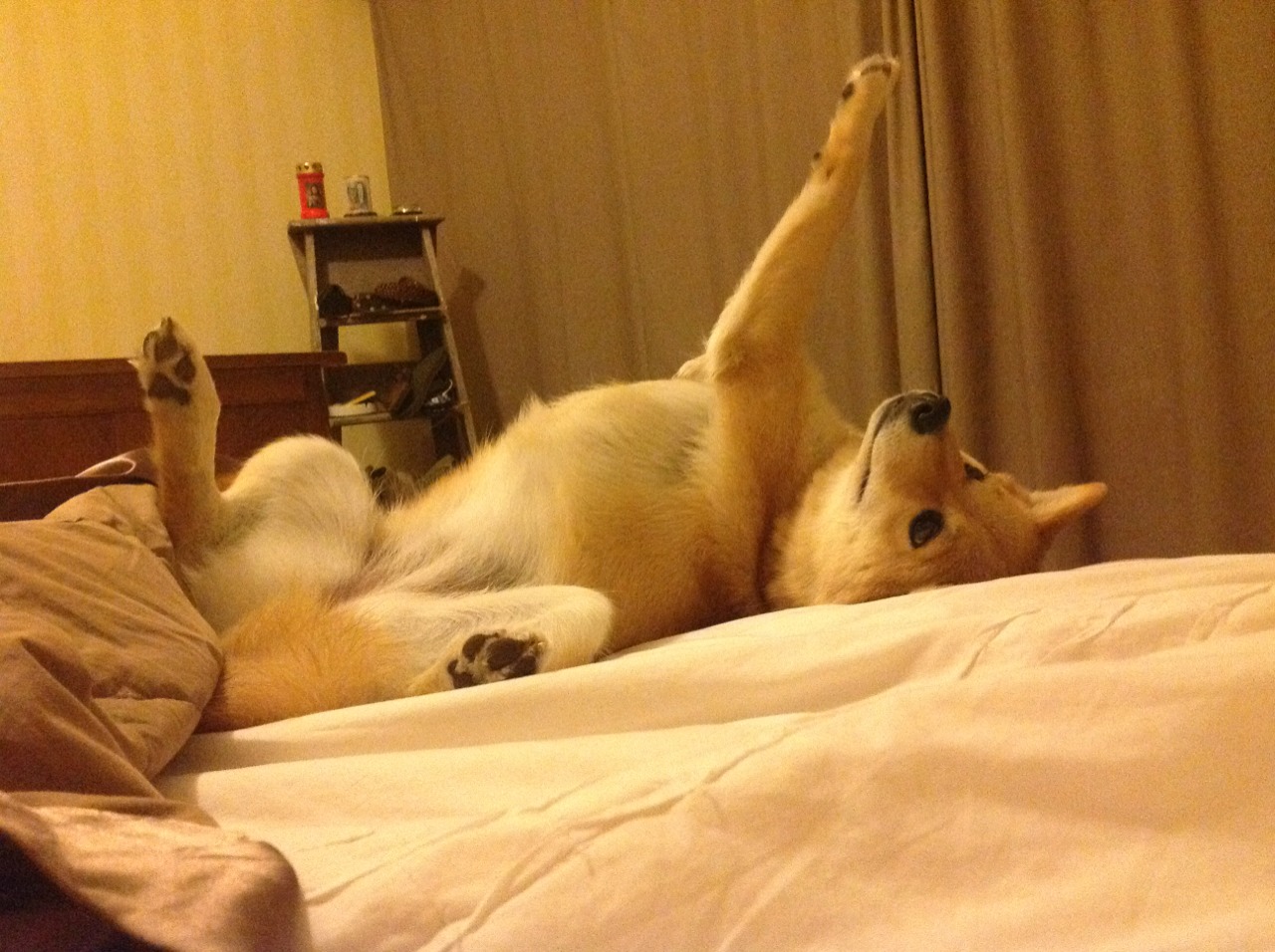 女子乒乓球队调整比赛节奏策略奏效，乒乓球女子团体比赛的规则